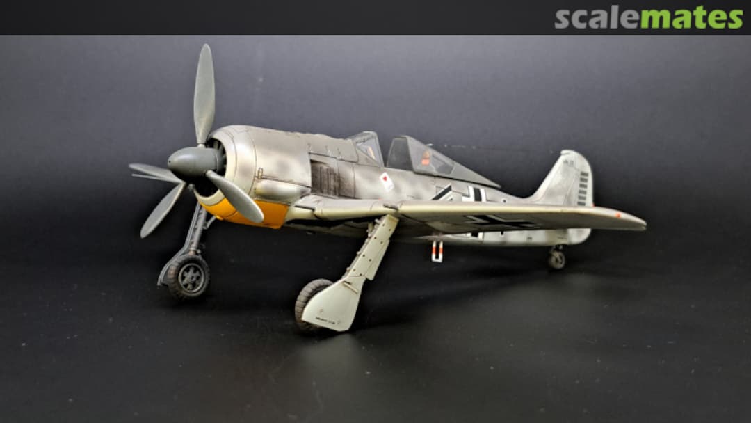 View album, image #4 View album, image #4