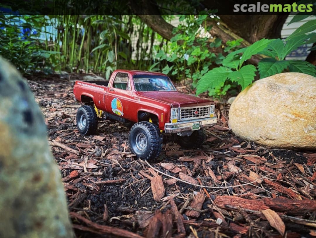 View album, image #4