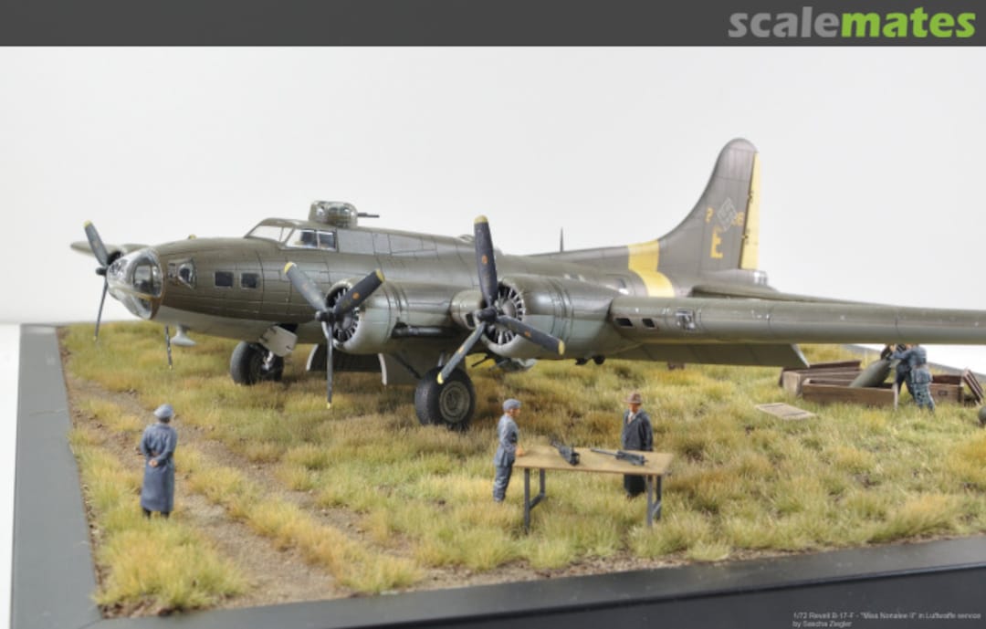 View album, image #62 View album, image #62