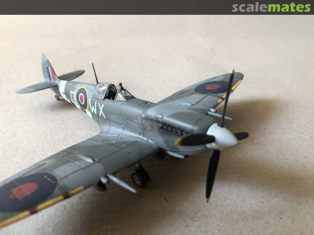 View album, image #1 View album, image #1