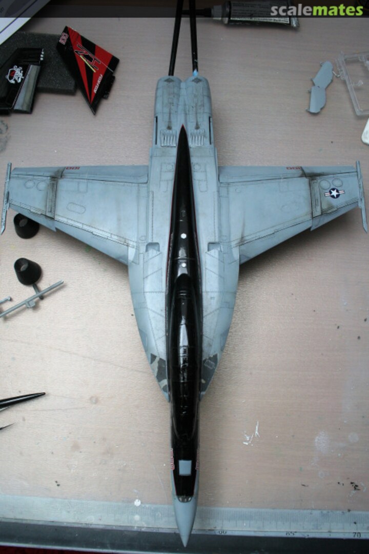 View album, image #35 View album, image #35