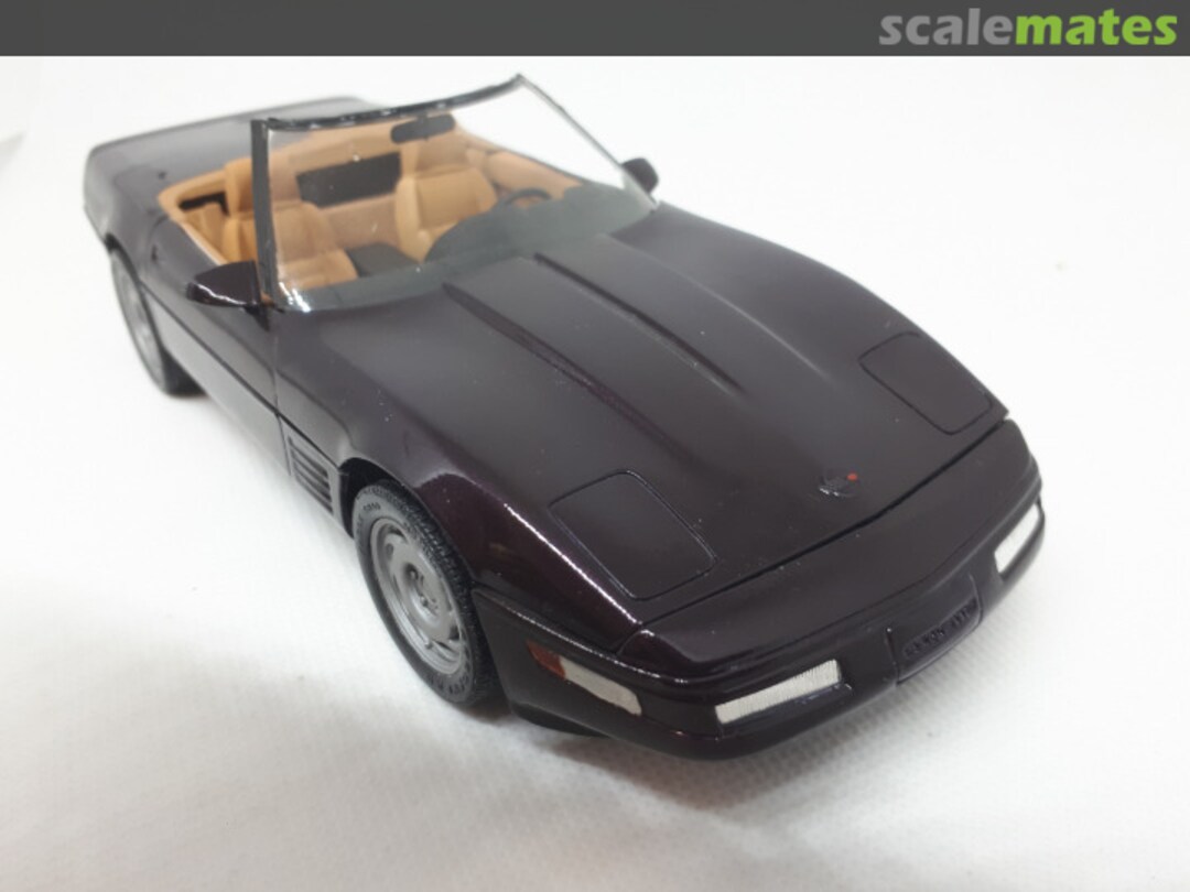 View album, image #1 View album, image #1