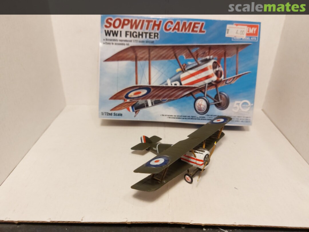 View album, image #1 View album, image #1