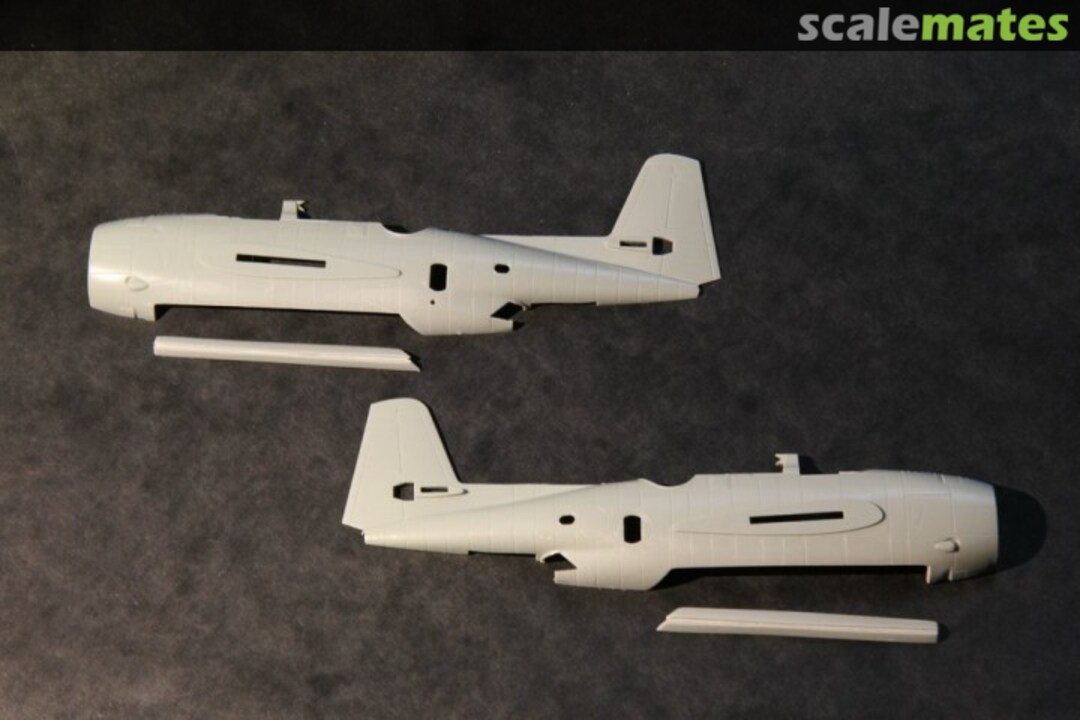 View album, image #1