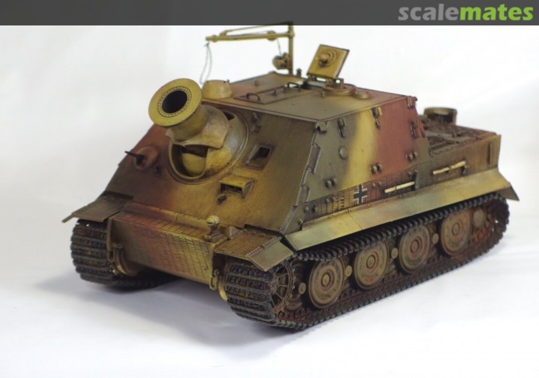 View album, image #3 View album, image #3