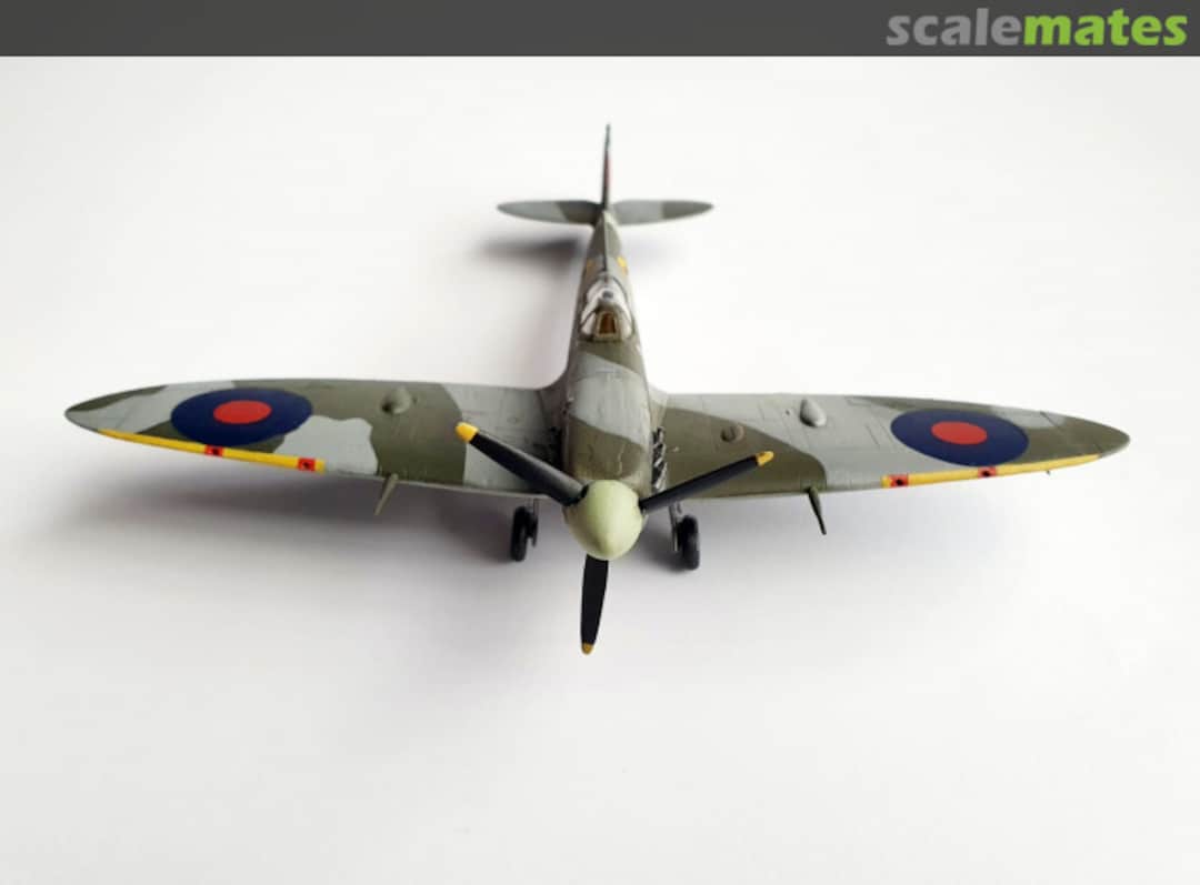 View album, image #1 View album, image #1