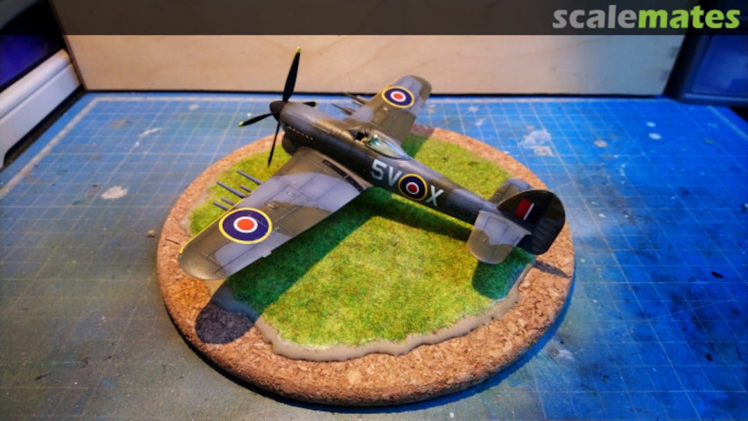 View album, image #1 View album, image #1