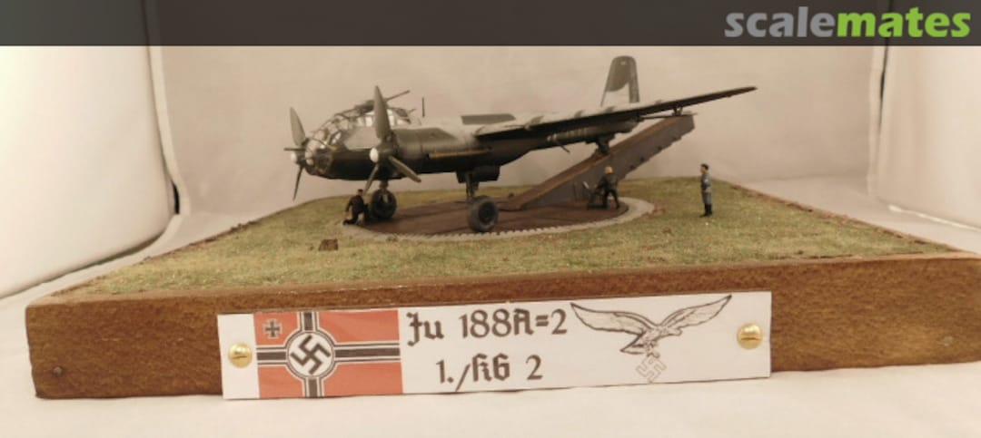 View album, image #1 View album, image #1