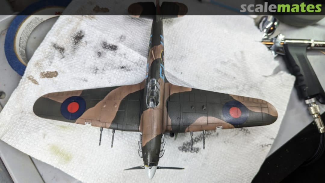 View album, image #1 View album, image #1