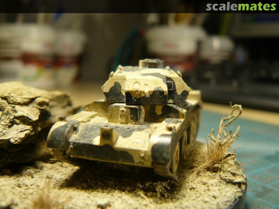 View album, image #1 View album, image #1