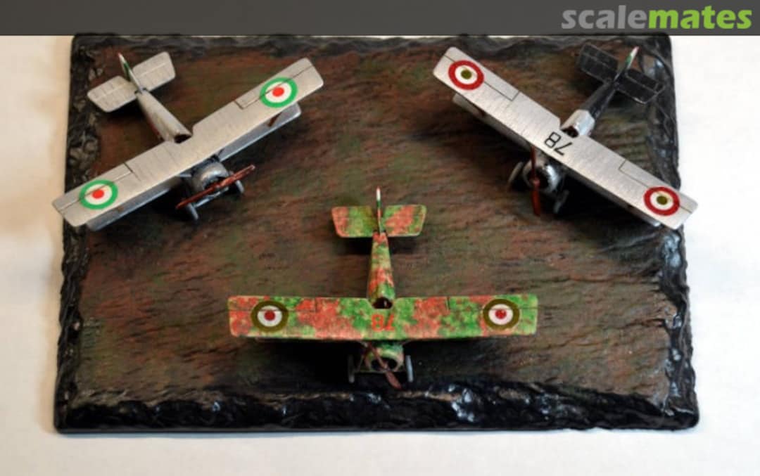 View album, image #1 View album, image #1