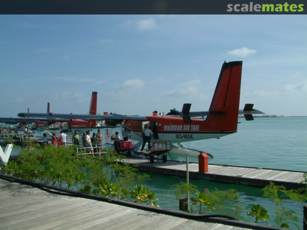 View album, image #1