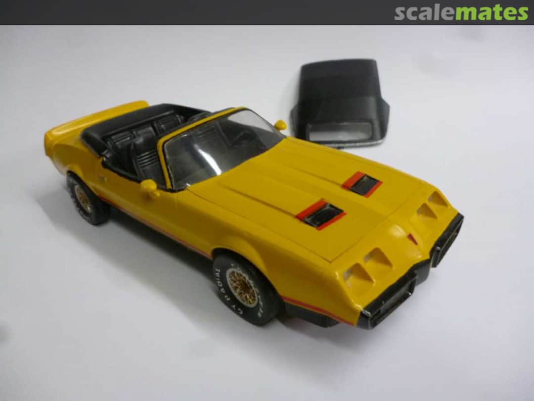 View album, image #1 View album, image #1