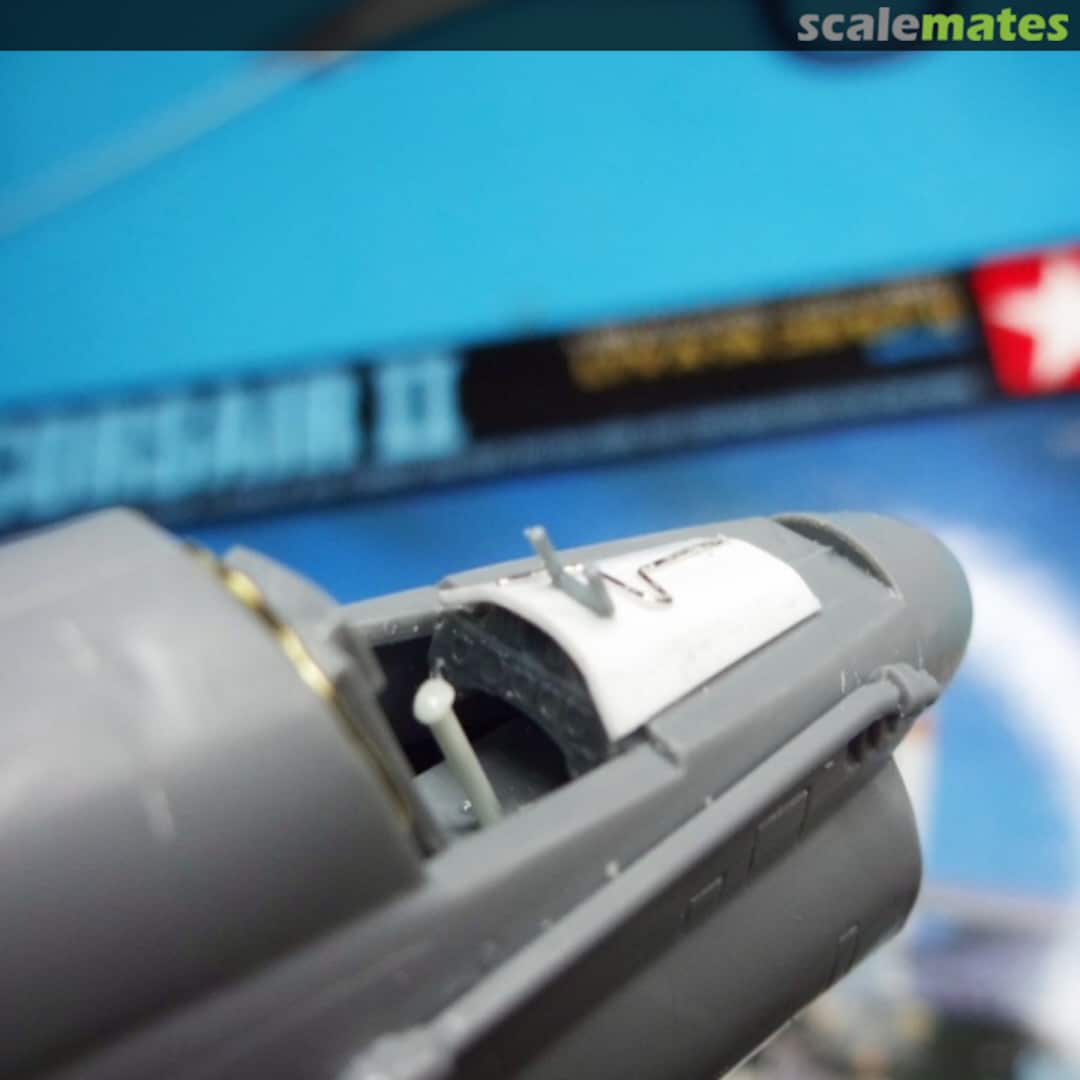 View album, image #1 View album, image #1