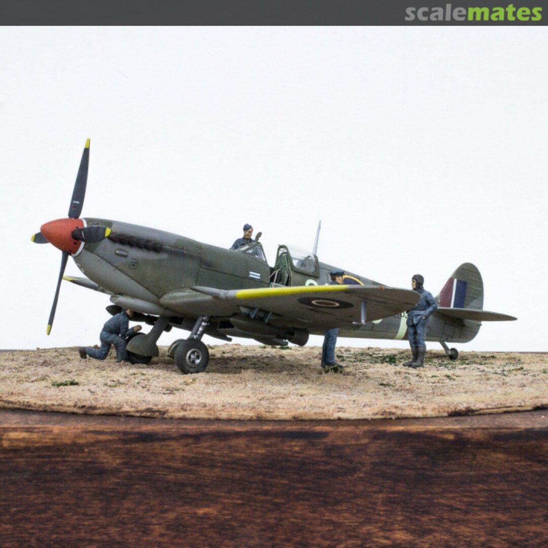 View album, image #7 View album, image #7