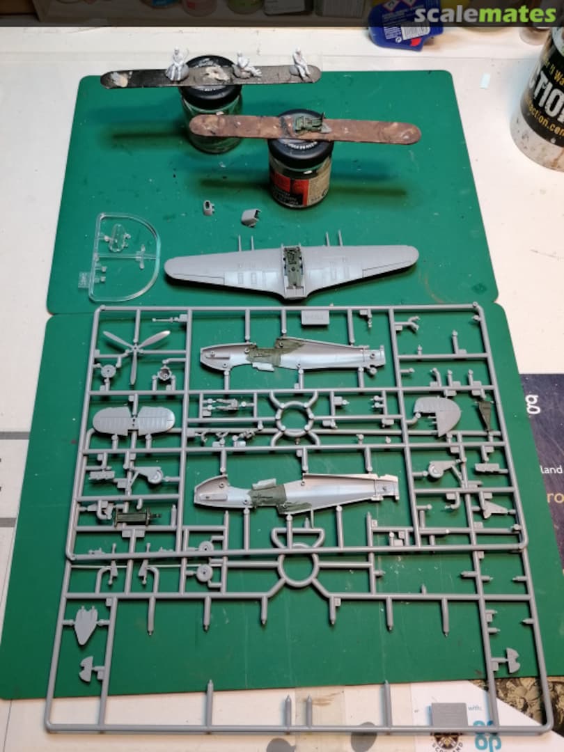 View album, image #1