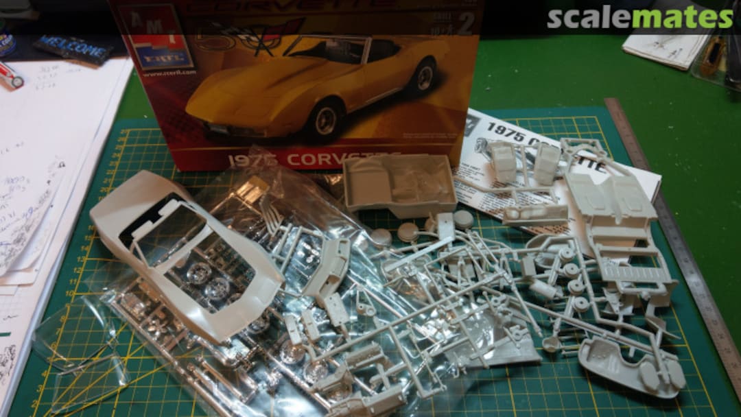 View album, image #1 View album, image #1