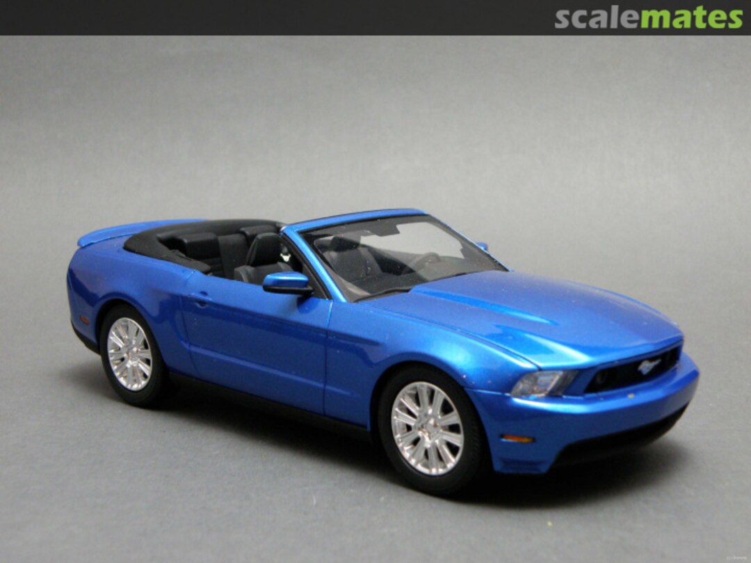 View album, image #1 View album, image #1