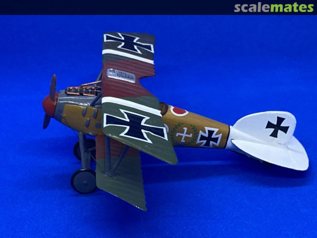 View album, image #1 View album, image #1