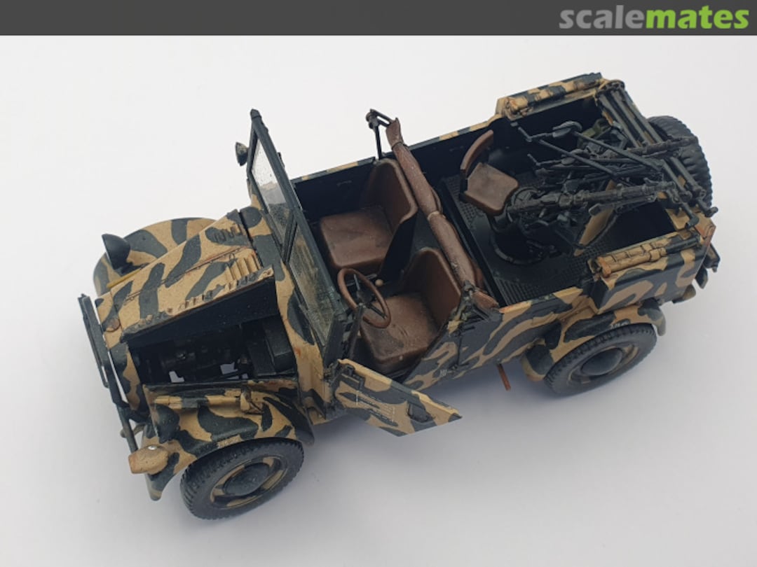 View album, image #12 View album, image #12