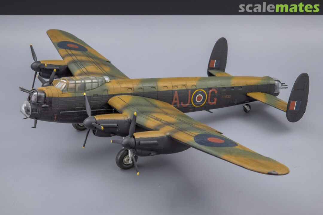 View album, image #1 View album, image #1