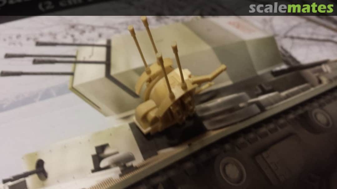 View album, image #1 View album, image #1