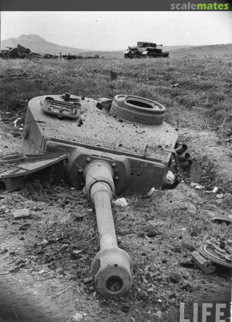 View album, image #1 View album, image #1