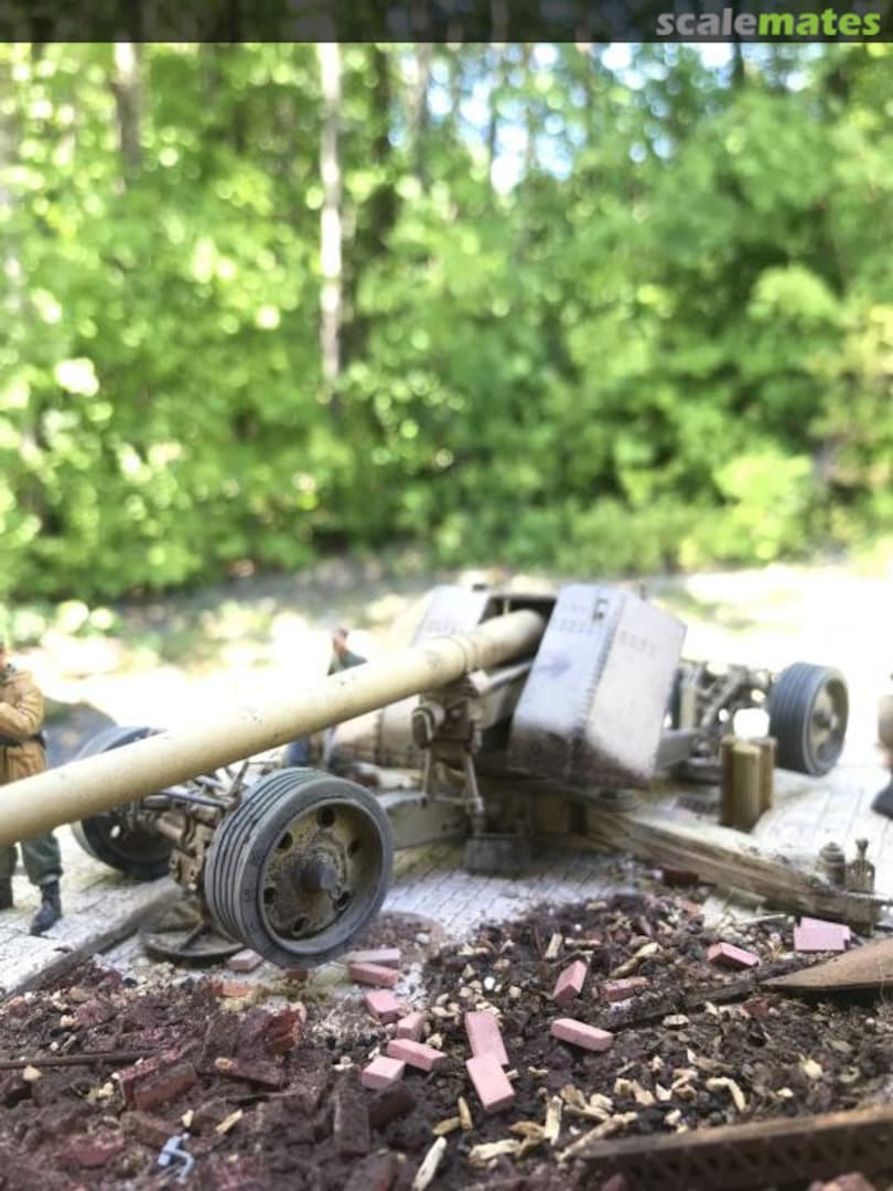 View album, image #3 View album, image #3