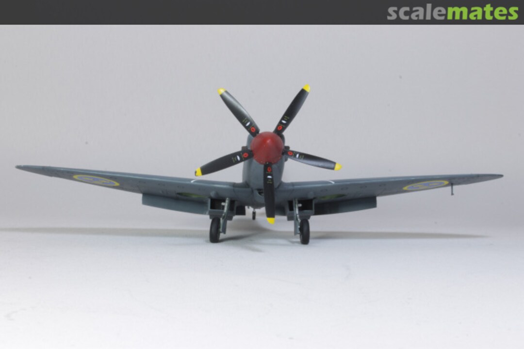 View album, image #1