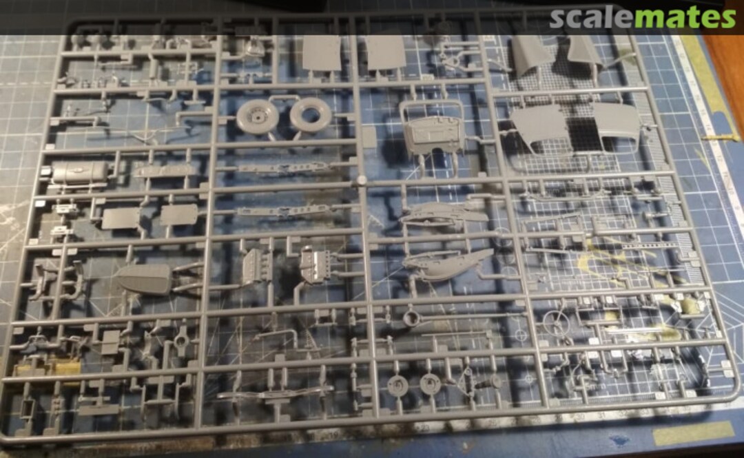 View album, image #1