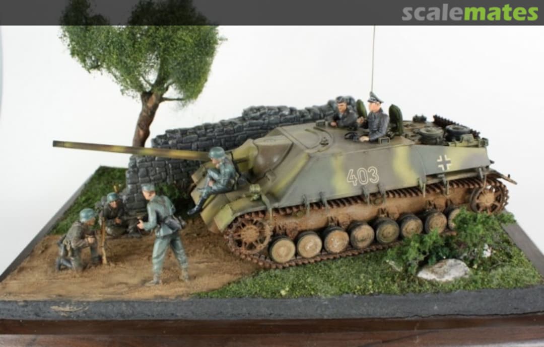 View album, image #1 View album, image #1