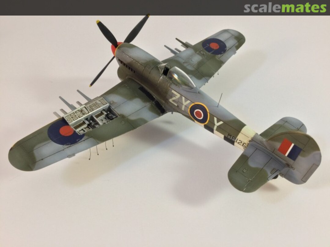 View album, image #1 View album, image #1