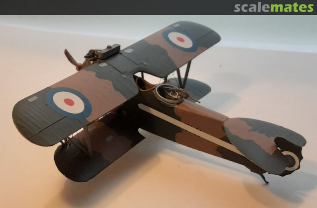 View album, image #1 View album, image #1