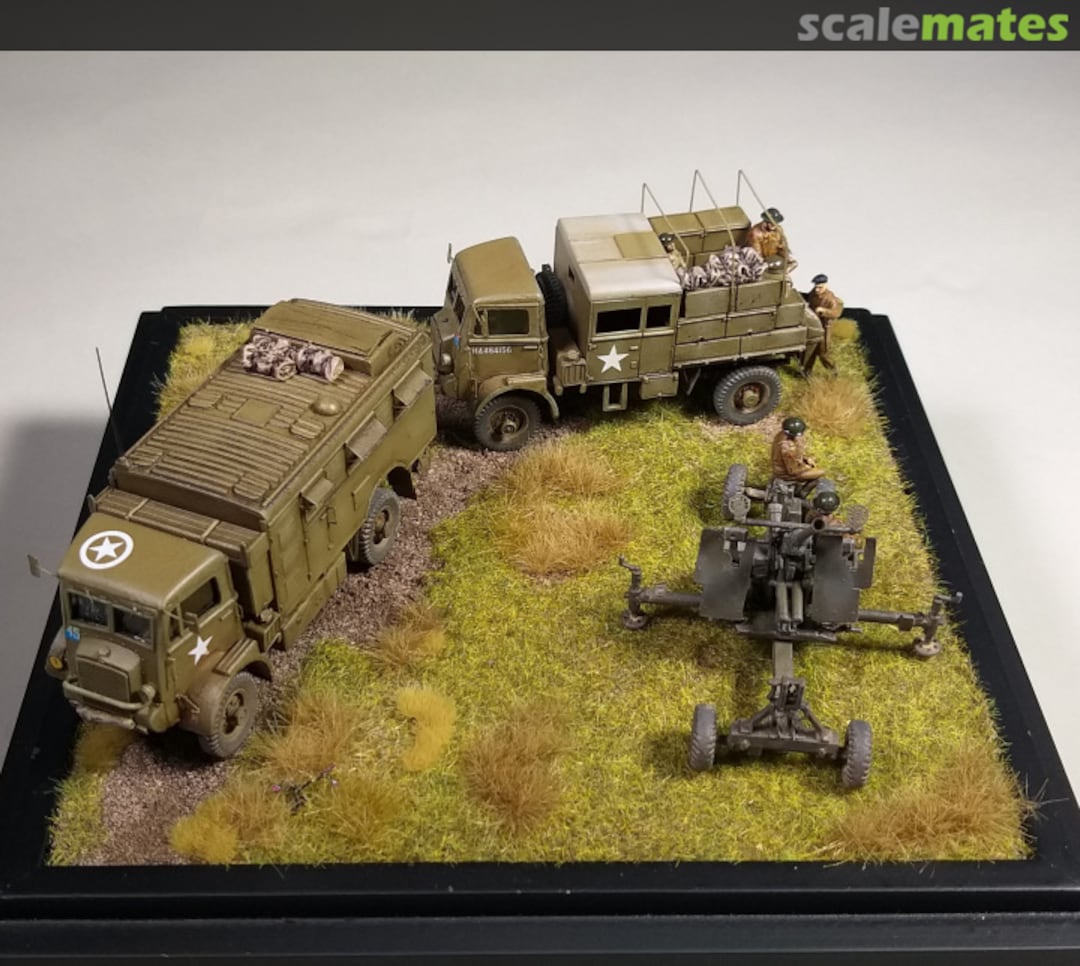 View album, image #15 View album, image #15