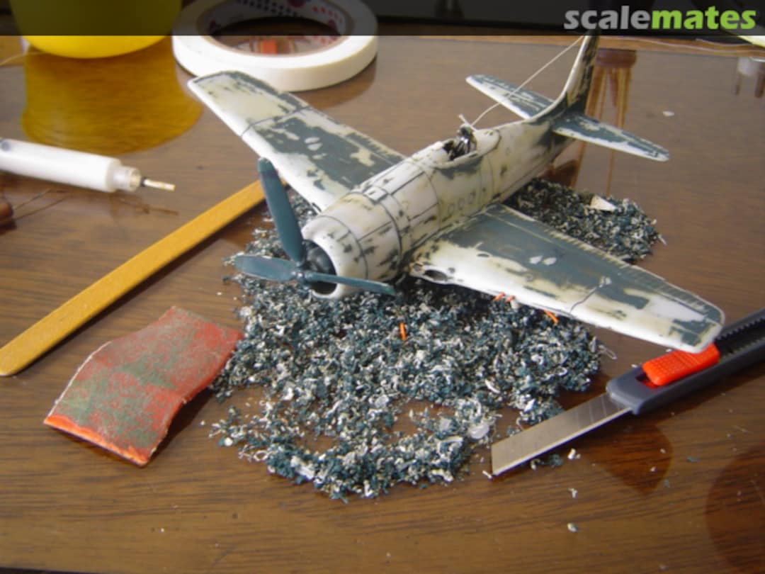 View album, image #1