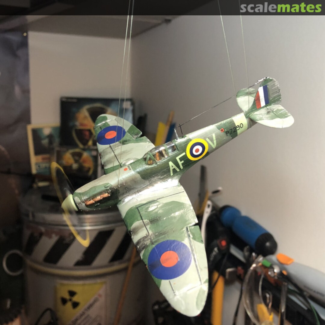 View album, image #19 View album, image #19