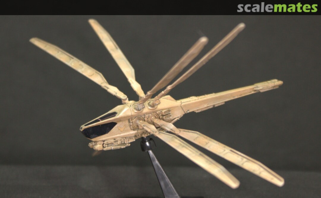 View album, image #1 View album, image #1