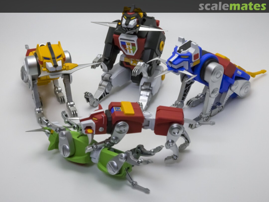 View album, image #13 View album, image #13