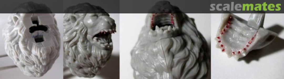 View album, image #1 View album, image #1