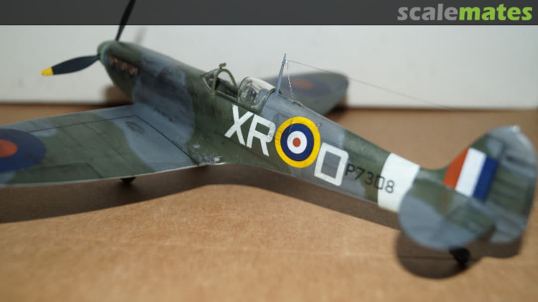 View album, image #3