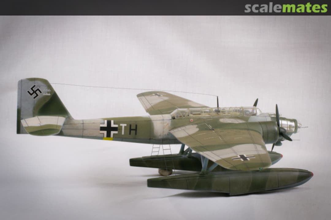 View album, image #1 View album, image #1