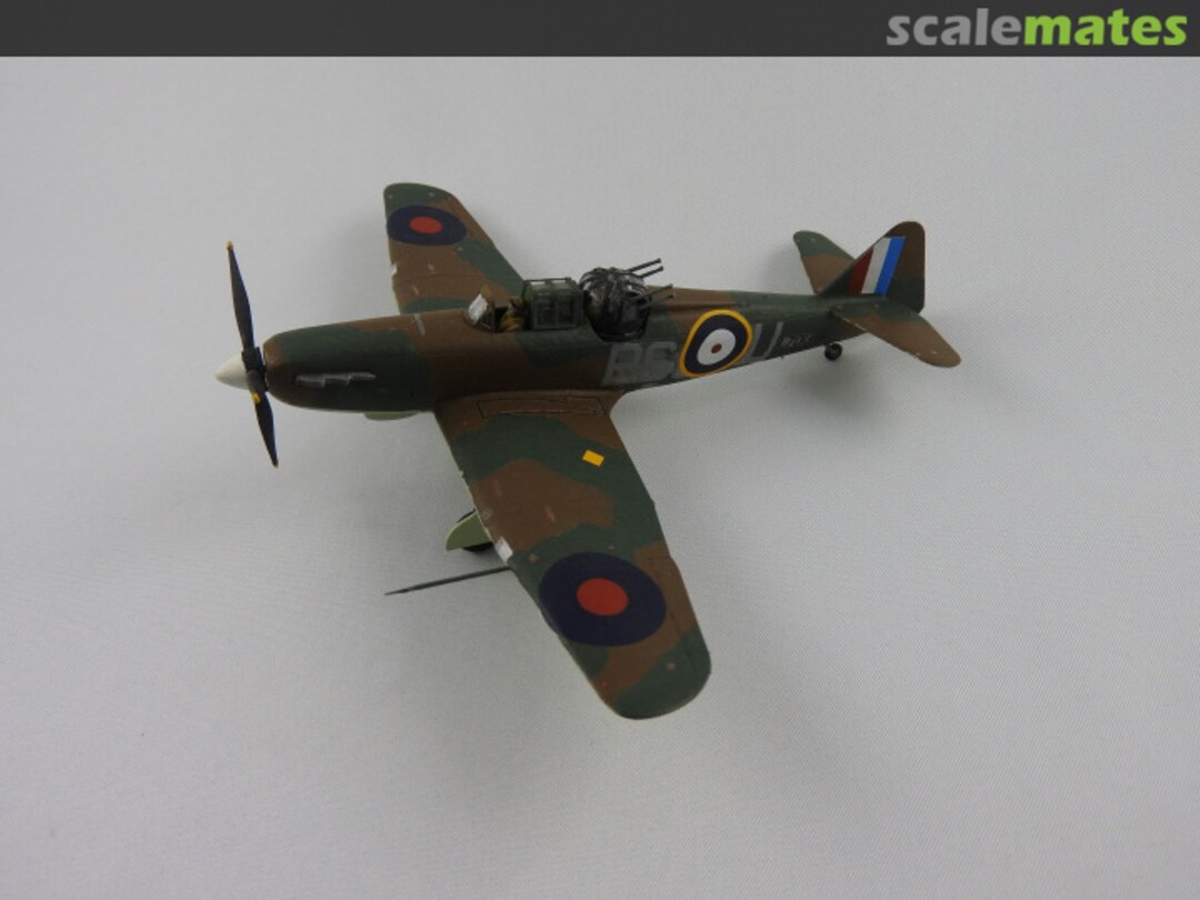 View album, image #1 View album, image #1