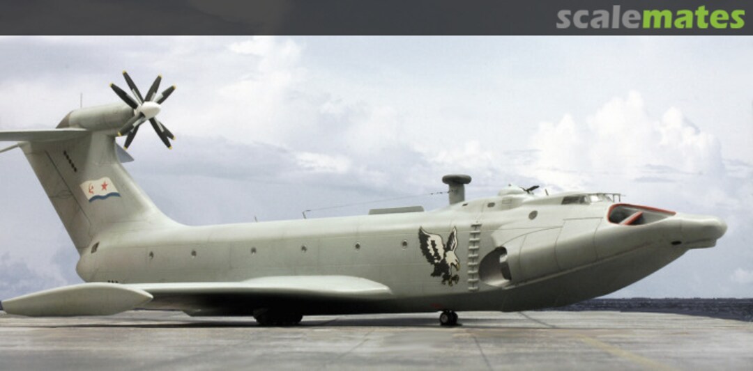 View album, image #31