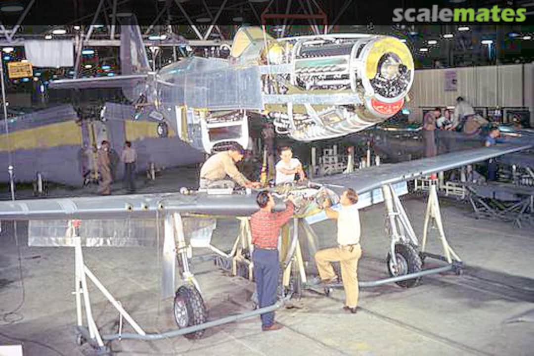 View album, image #1