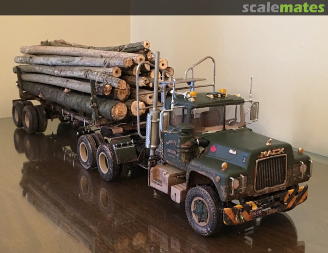 View album, image #1 View album, image #1