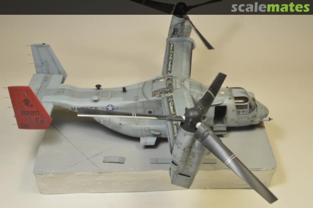 View album, image #55 View album, image #55