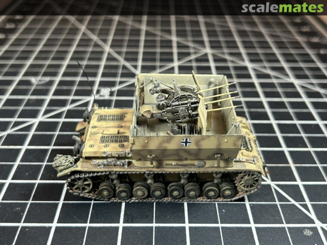 View album, image #1 View album, image #1