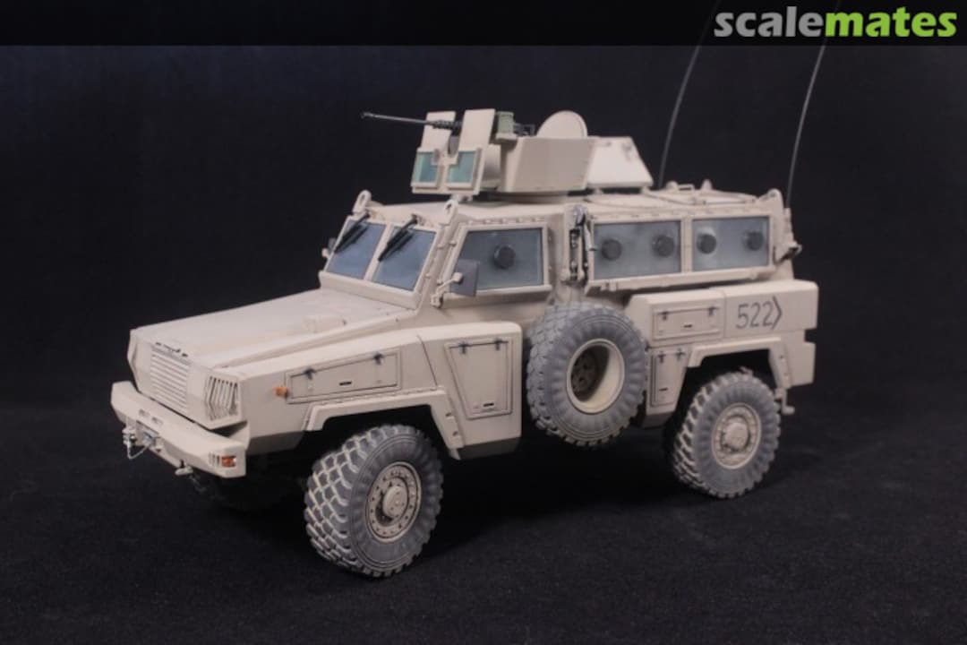 View album, image #1 View album, image #1