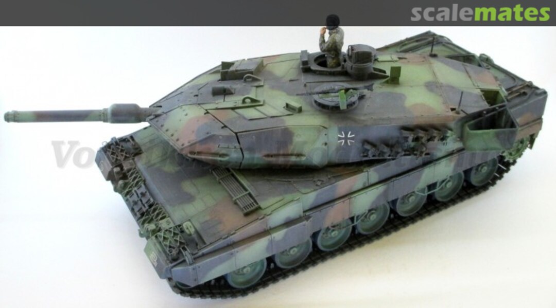 View album, image #1 View album, image #1