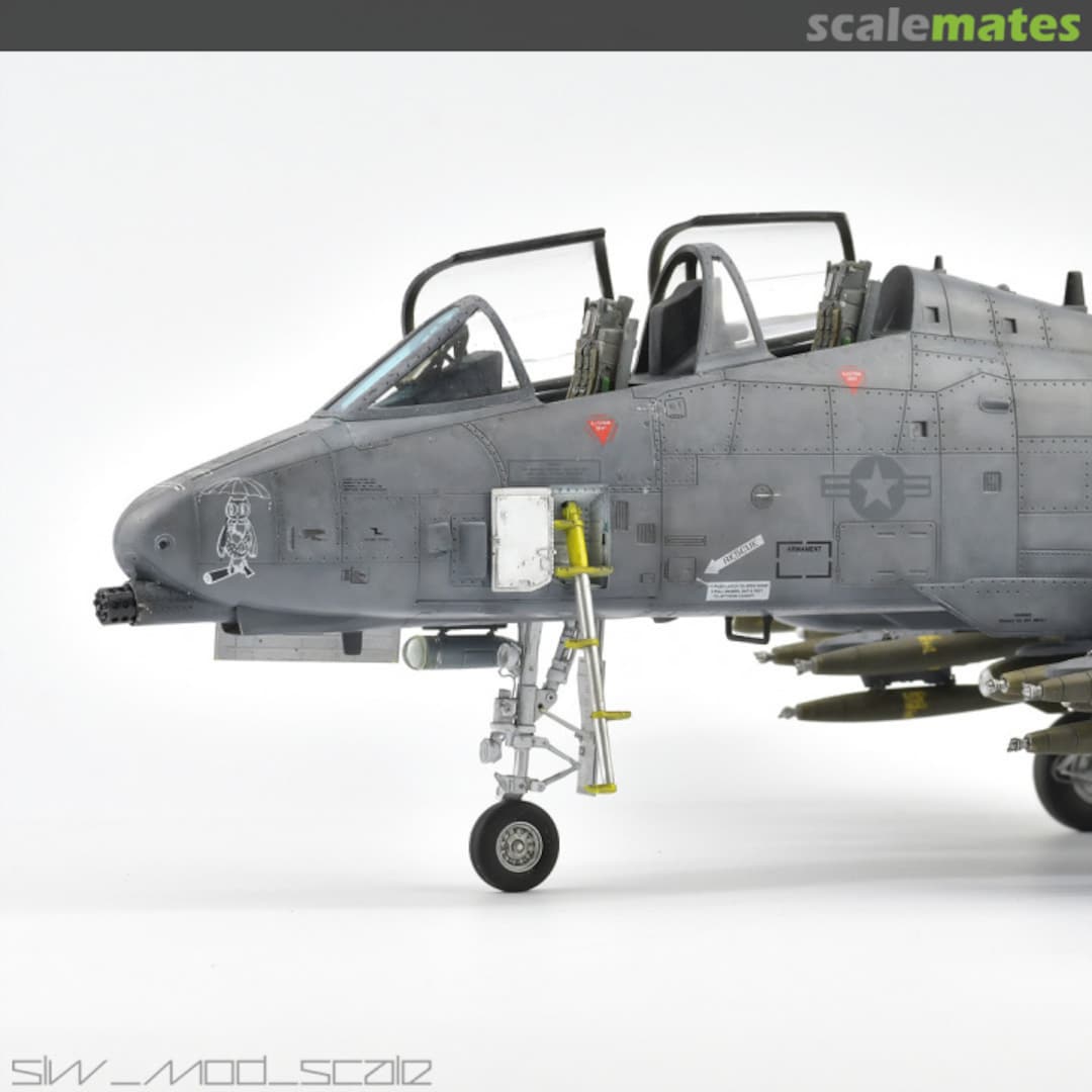 View album, image #21 View album, image #21